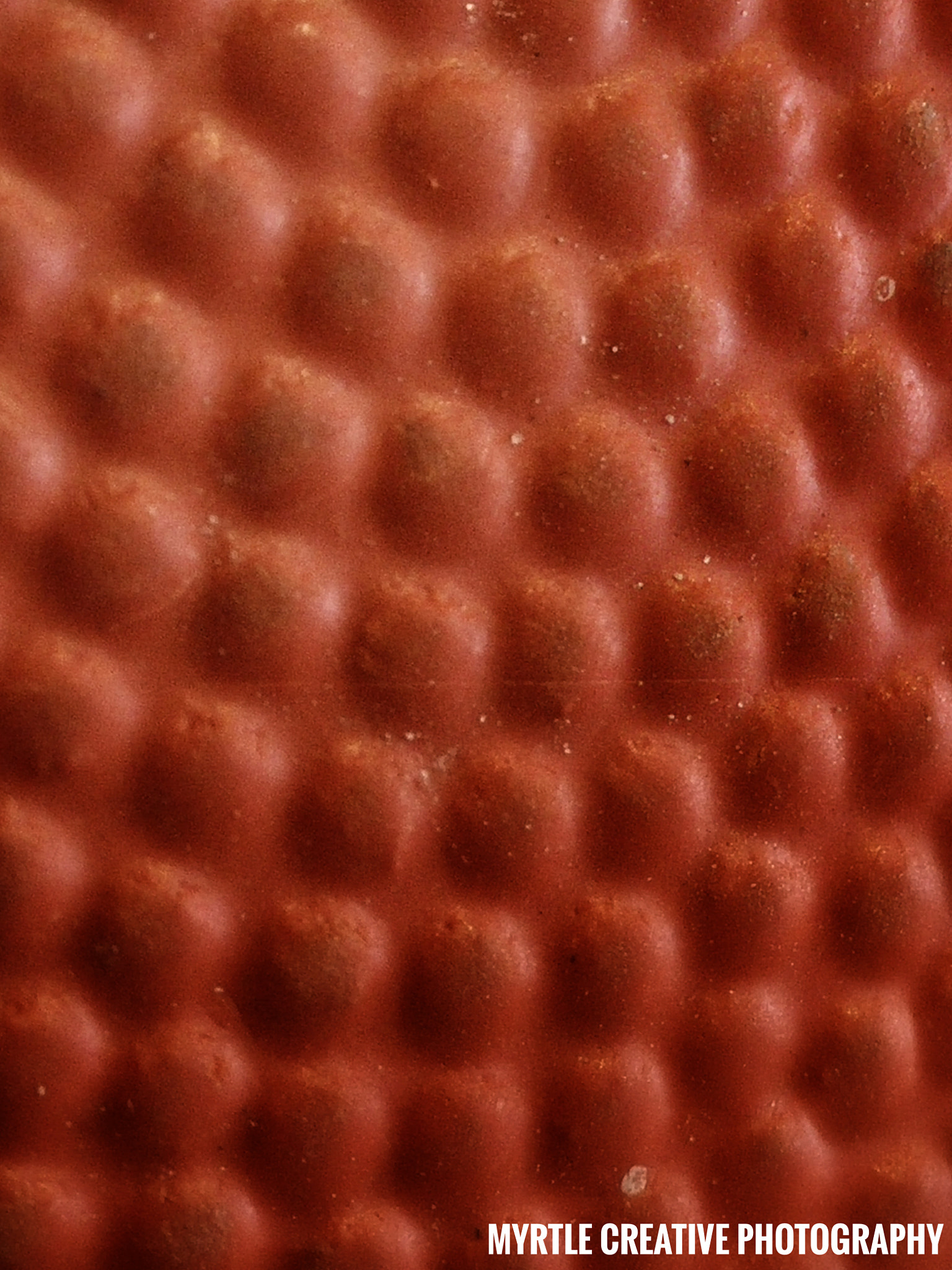 OPPO Find7 sample photo. Nba photography