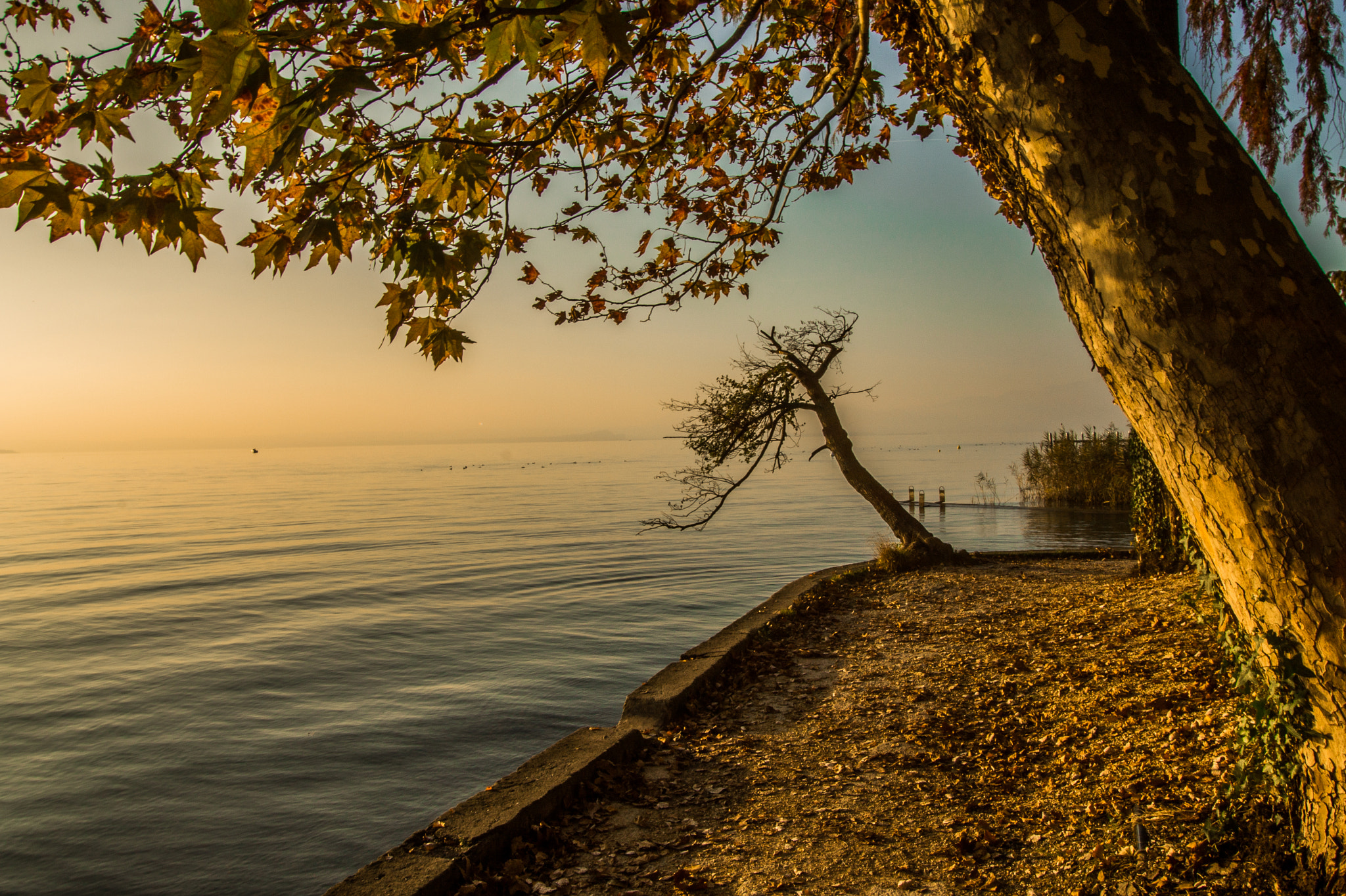 Canon EF-S 10-22mm F3.5-4.5 USM sample photo. Lake attraction photography