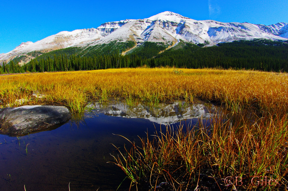 Pentax K20D sample photo. Reflection bobac mountain photography
