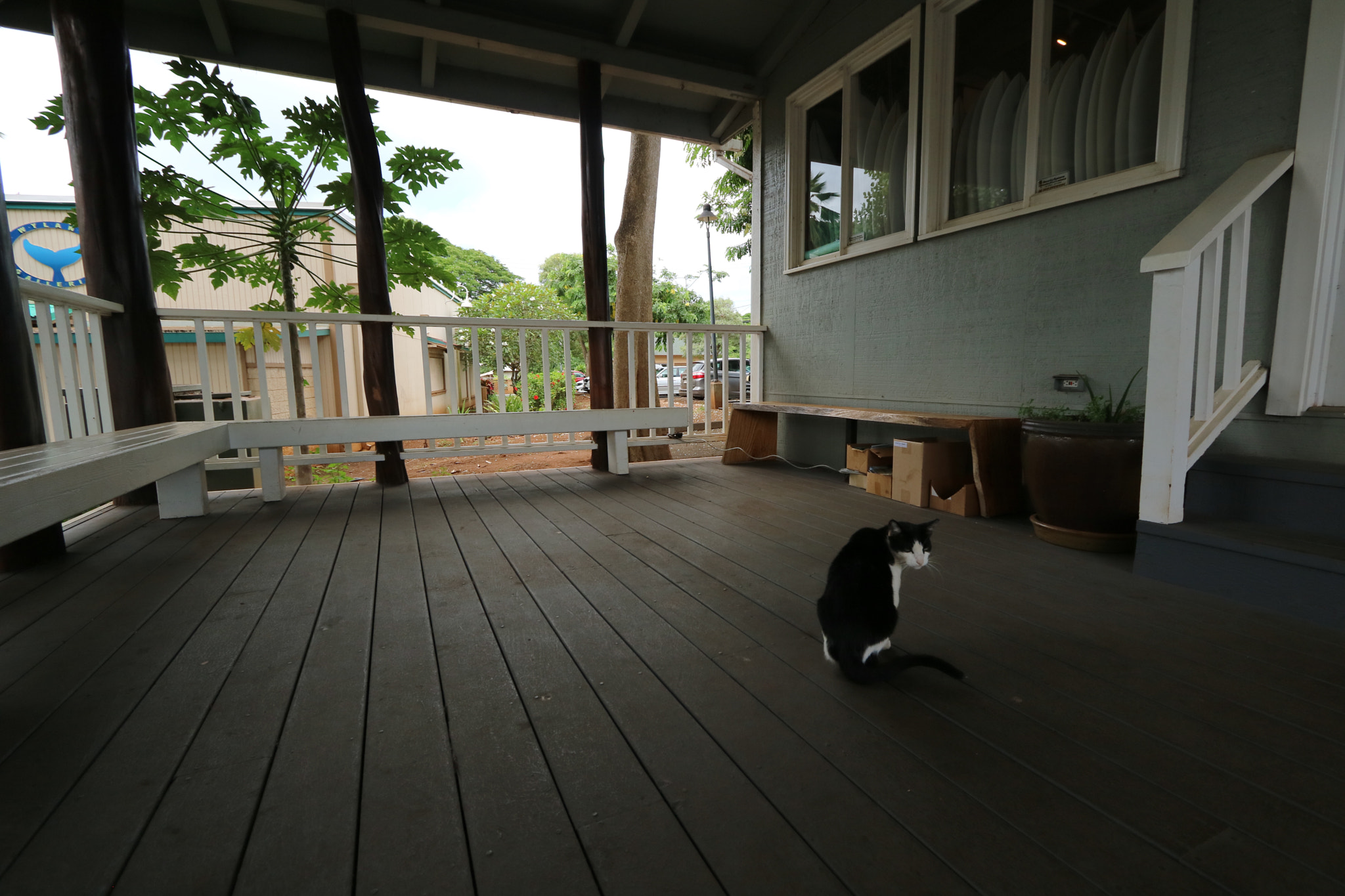Canon EOS M3 + Canon EF-S 10-22mm F3.5-4.5 USM sample photo. Img photography