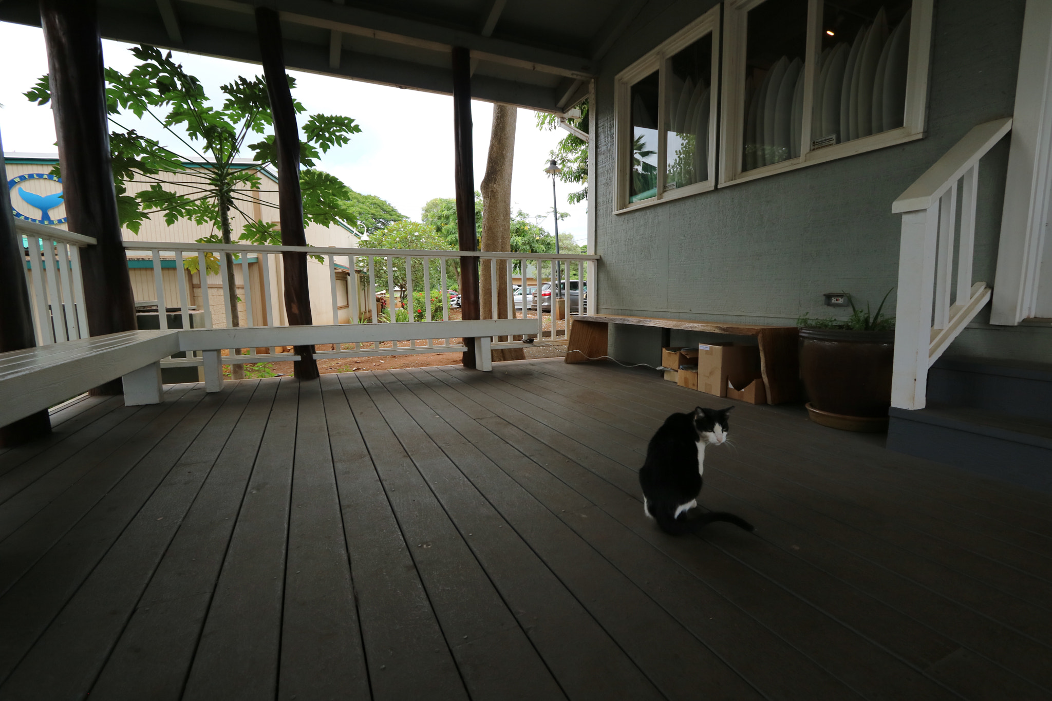 Canon EOS M3 sample photo. Img photography
