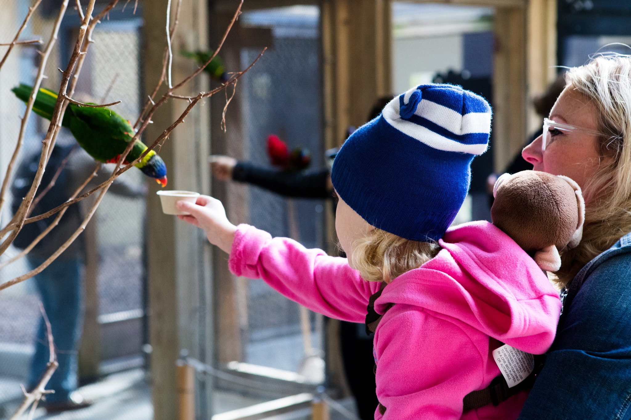 Canon EOS 5DS + Canon EF 24-70mm F2.8L USM sample photo. Lorikeet girl photography