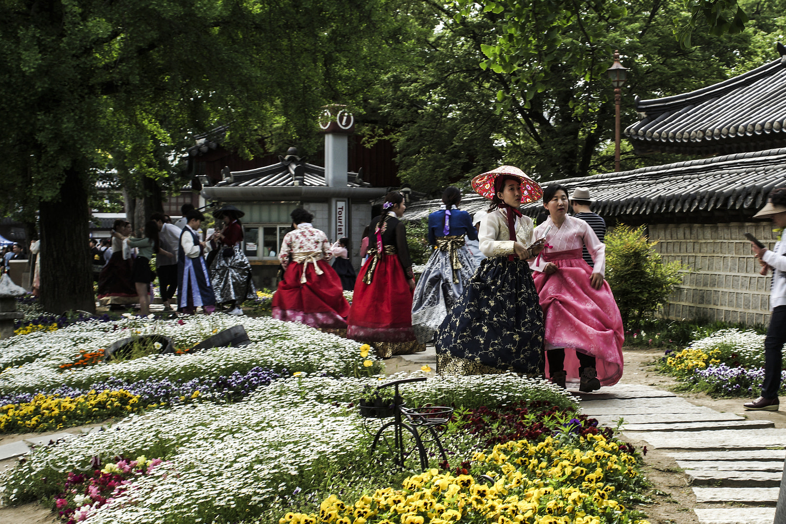 Sony a99 II sample photo. Women in hanbok photography