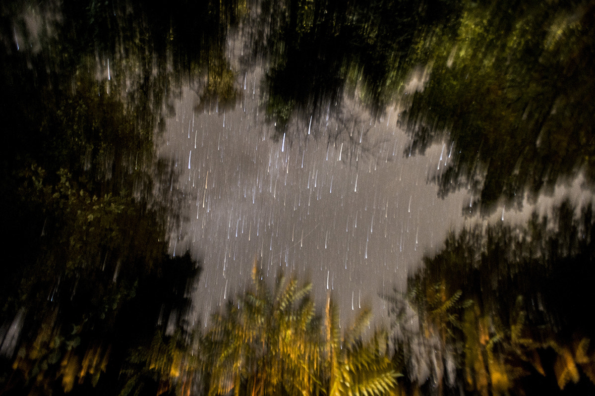Nikon AF-S Nikkor 17-35mm F2.8D ED-IF sample photo. Backofwhale photography