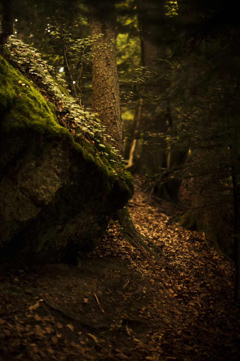 Nikon Df + Nikon AF-S Nikkor 50mm F1.4G sample photo. Backofwhale photography