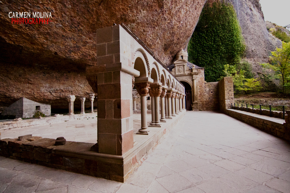 Canon EOS 50D sample photo. Castle photography