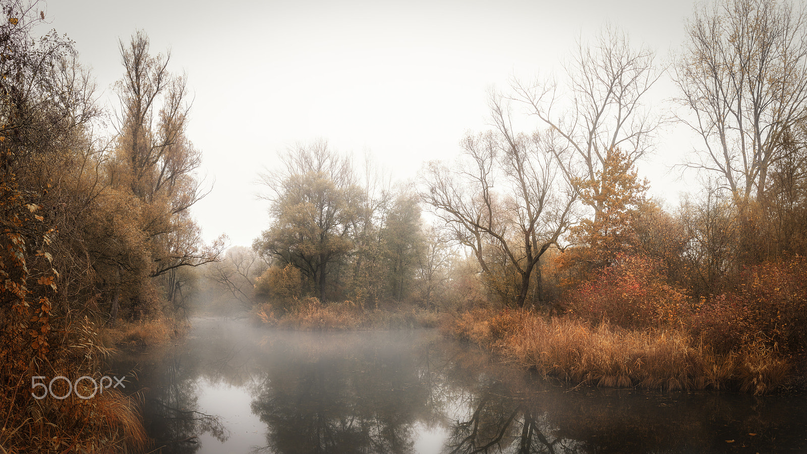 Canon EF 24mm F2.8 IS USM sample photo. Wild home photography