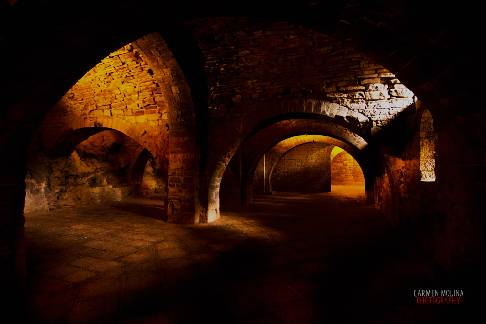 Canon EOS 50D sample photo. Castle photography