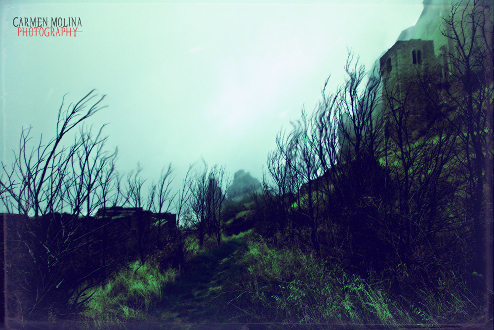 Canon EOS 50D sample photo. Castle photography