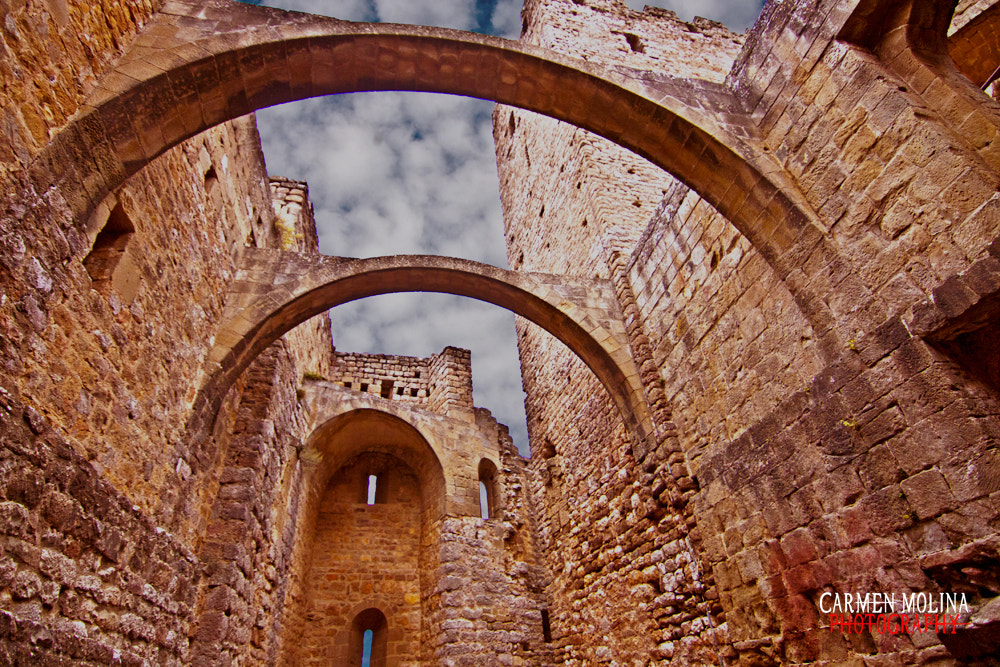Canon EOS 50D sample photo. Castle photography