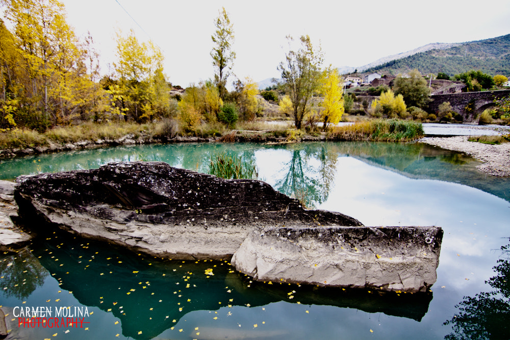 Canon EOS 50D sample photo. Castle photography