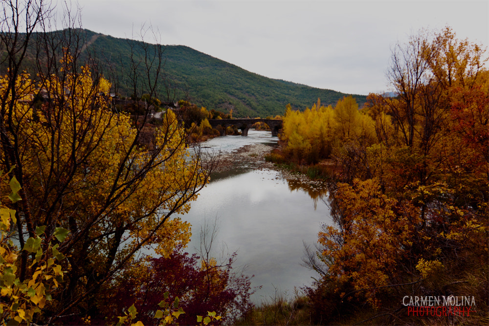 Canon EOS 50D sample photo. Castle photography