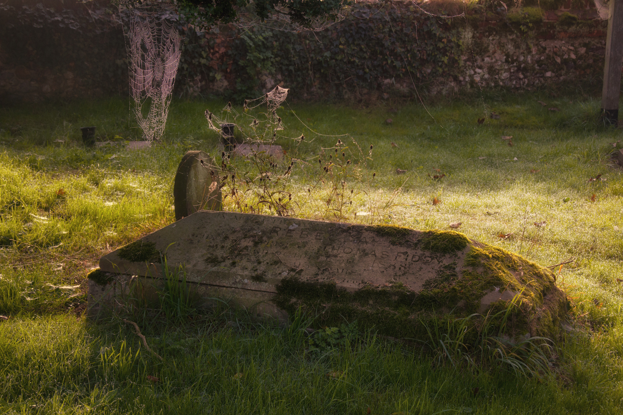 Sigma 18-200mm f/3.5-6.3 DC OS sample photo. Creepy morning in a norfolk cemetery photography