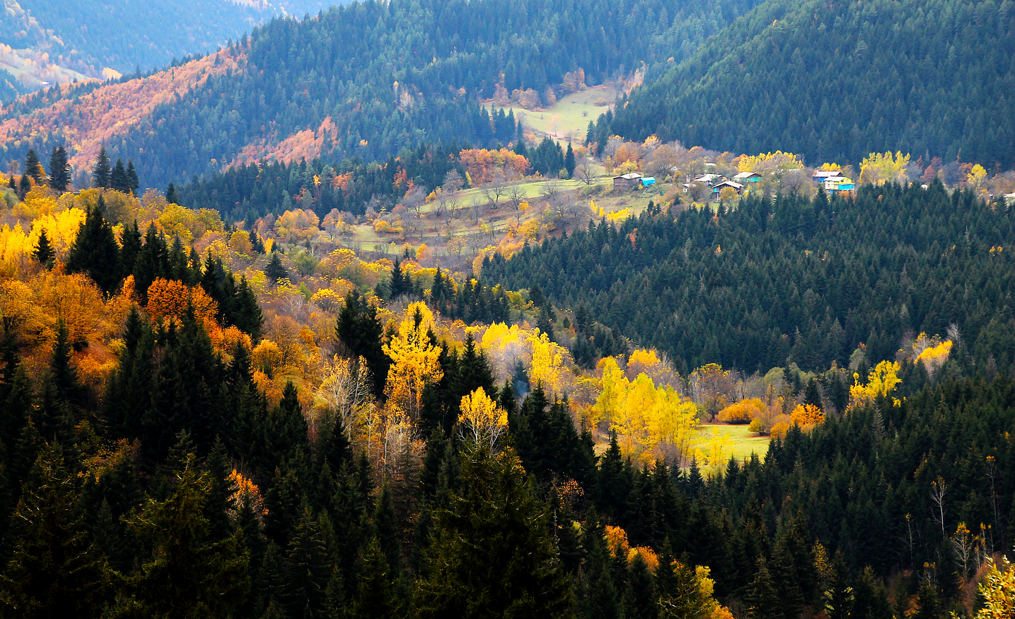 Canon EOS 1100D (EOS Rebel T3 / EOS Kiss X50) sample photo. Autumn... photography