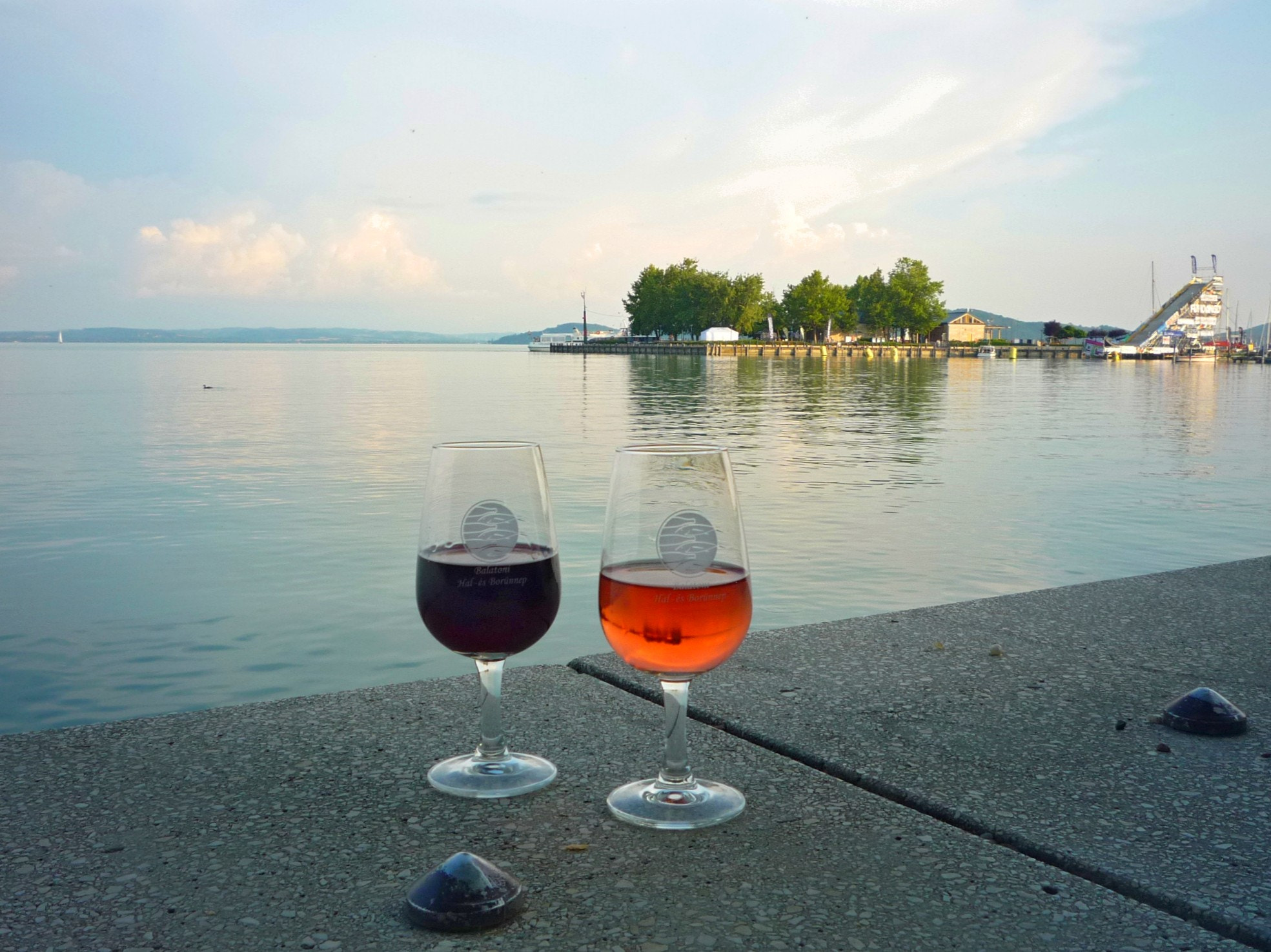 Panasonic DMC-LZ8 sample photo. Wine,balaton,summer... photography