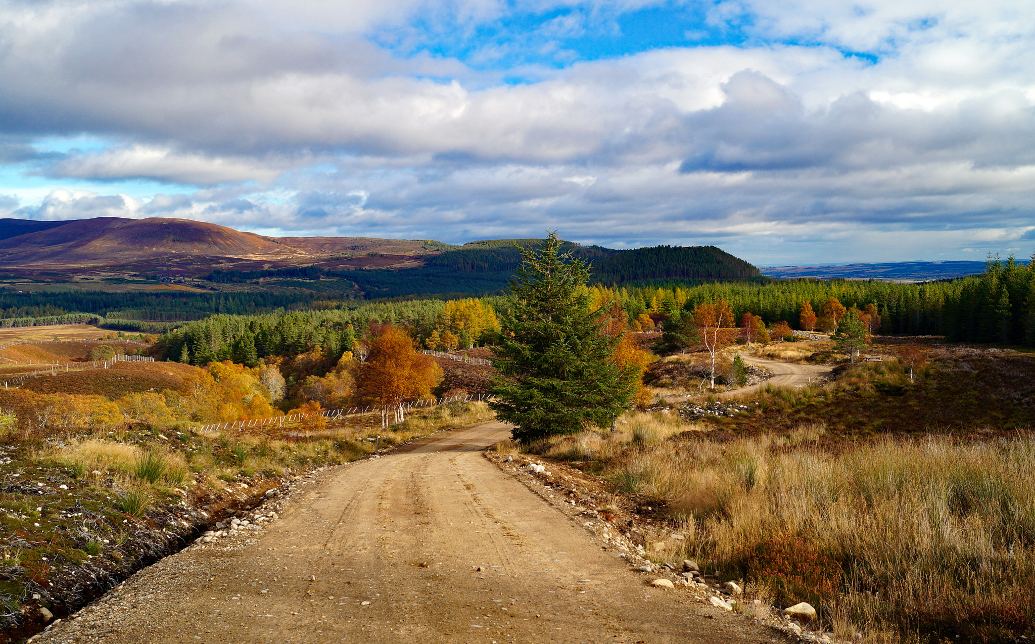 Sony DT 18-55mm F3.5-5.6 SAM II sample photo. Clach liath, ross-shire, scottish highlands photography