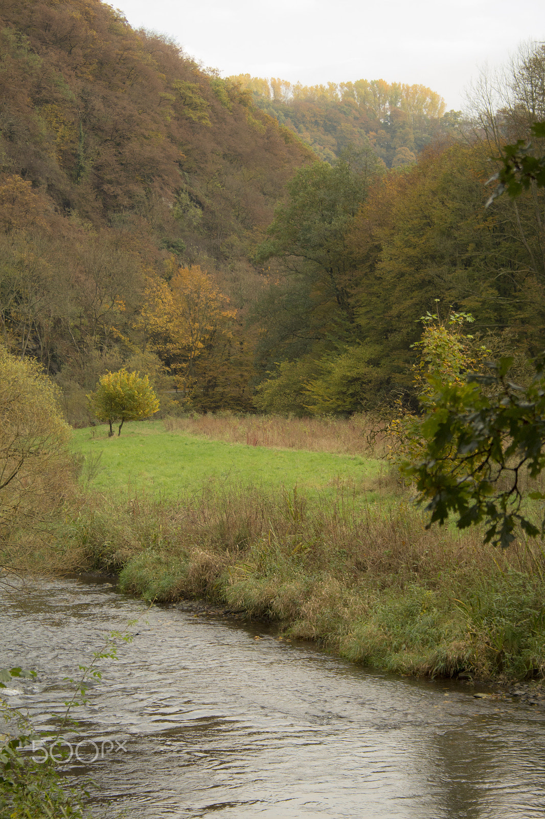 Canon EF-S 18-55mm F3.5-5.6 II sample photo. Tranquil autumn scene photography