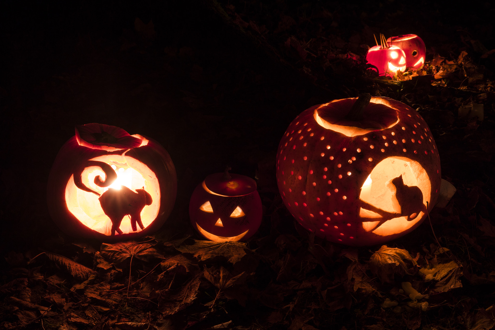 Sony DT 18-200mm F3.5-6.3 sample photo. Pumpkin fest photography