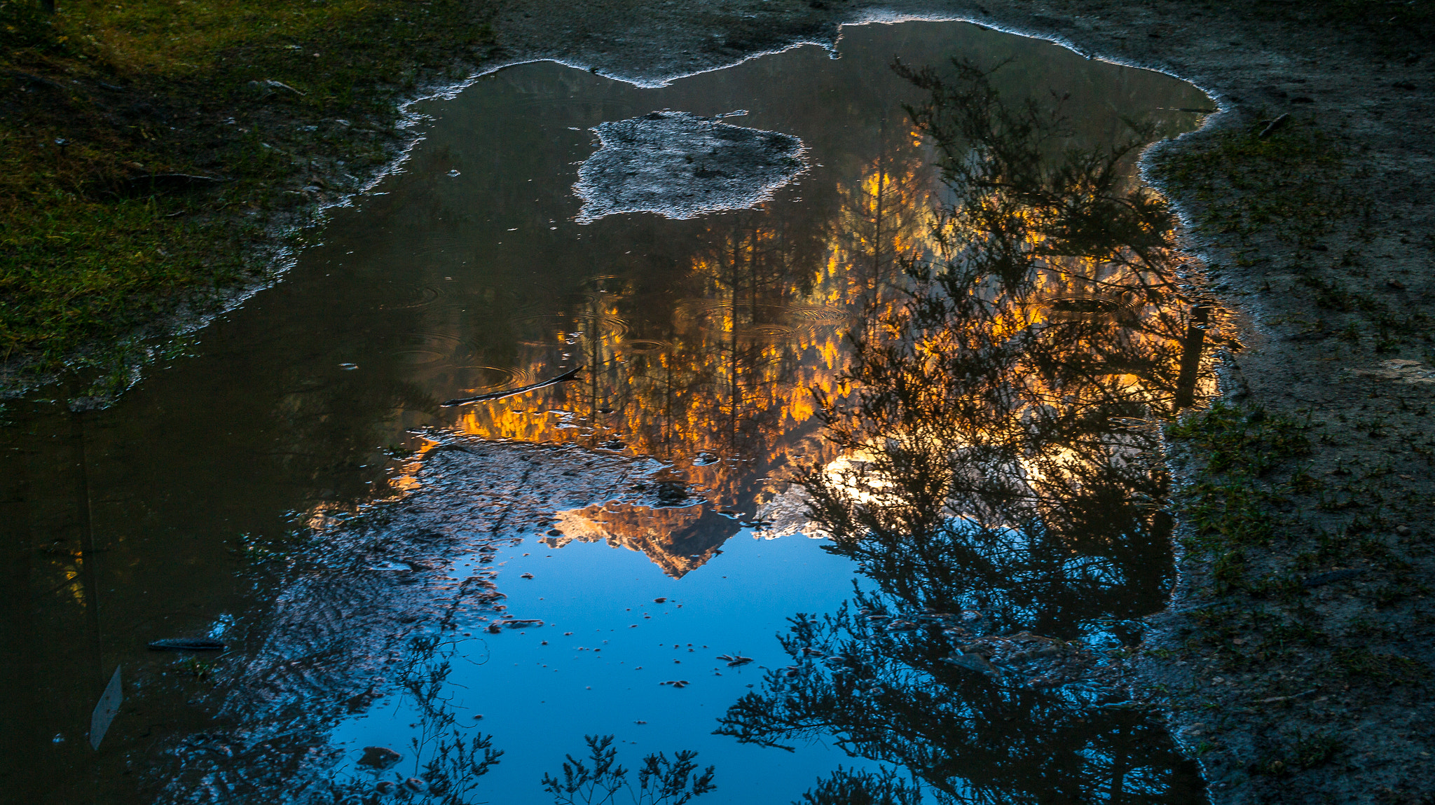 Pentax smc DA 16-45mm F4 ED AL sample photo. Reflected photography