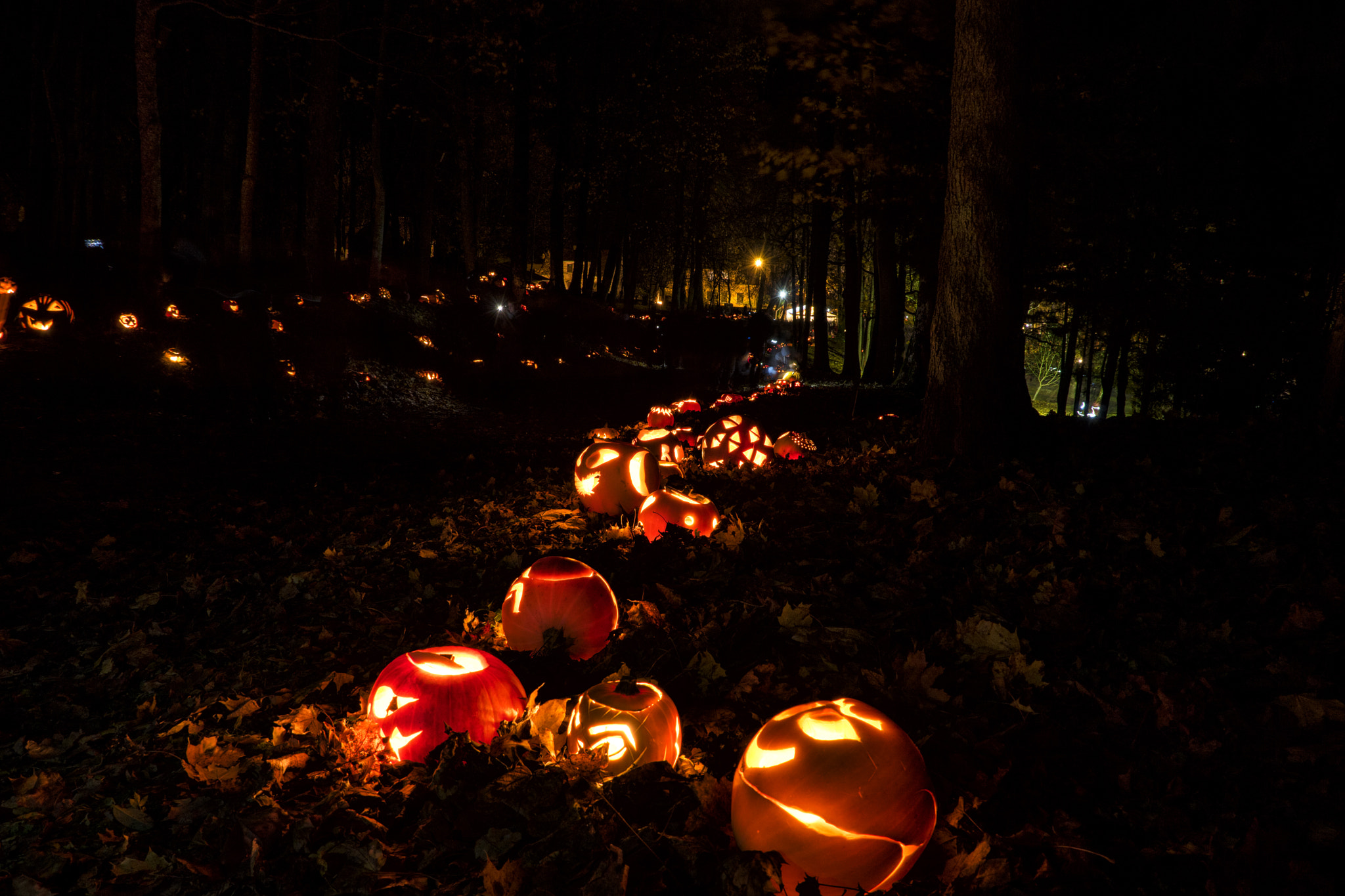 Sony ILCA-77M2 sample photo. Pumpkin fest "the trail" photography