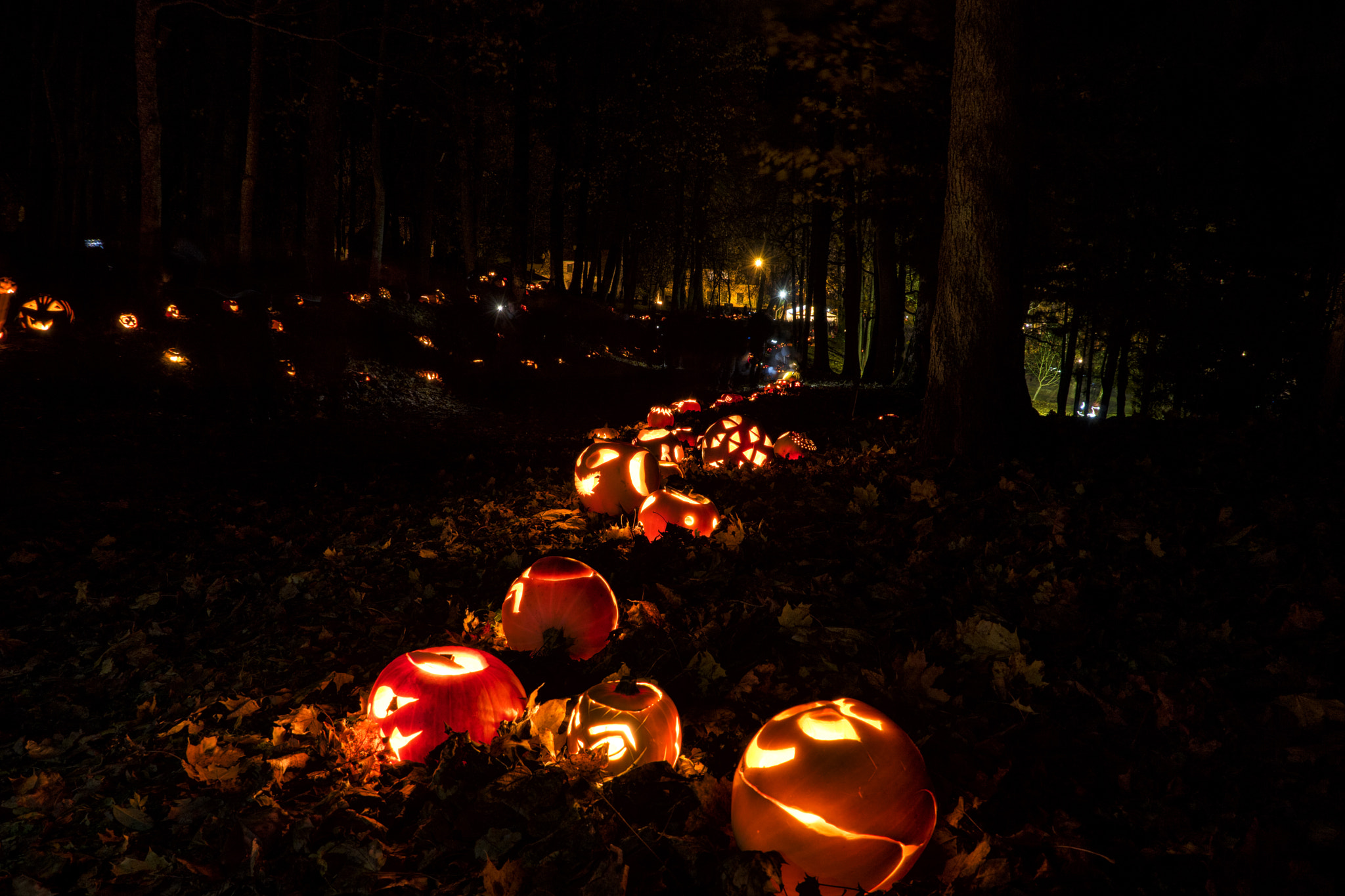 Sony DT 18-200mm F3.5-6.3 sample photo. Pumpkin fest "the trail" photography