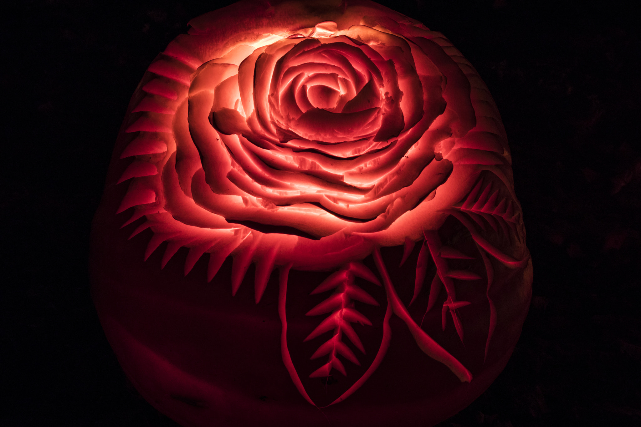 Sony DT 18-200mm F3.5-6.3 sample photo. Lovely carving photography