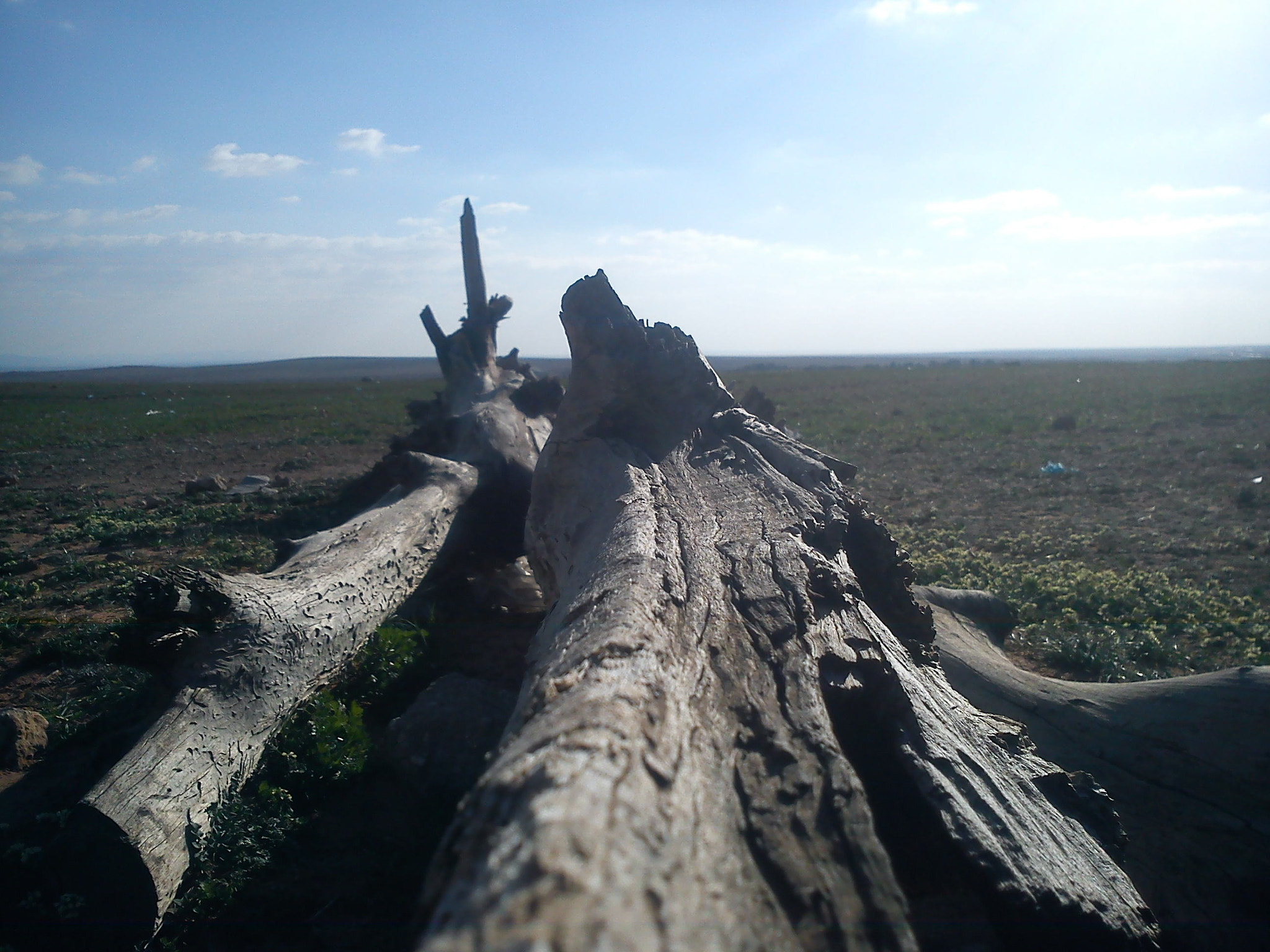 Sony Ericsson J10i2 sample photo. Foto () photography