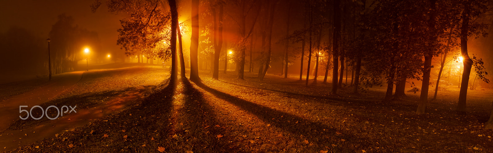 Canon EOS 40D + Canon EF 17-40mm F4L USM sample photo. Panoramic image of trees on a foggy night in park photography