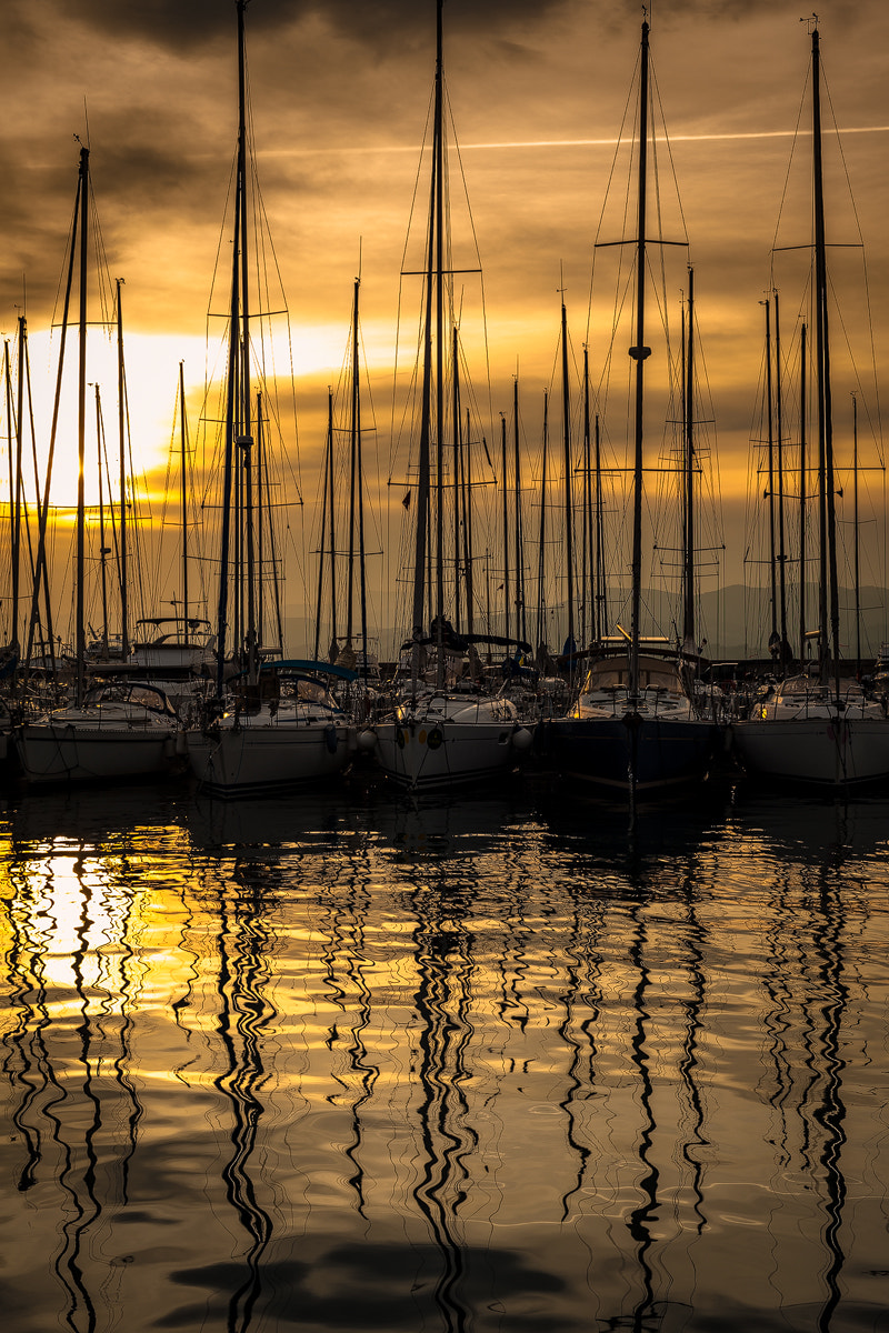 ZEISS Planar T* 50mm F1.4 sample photo. Evening in saint tropez photography