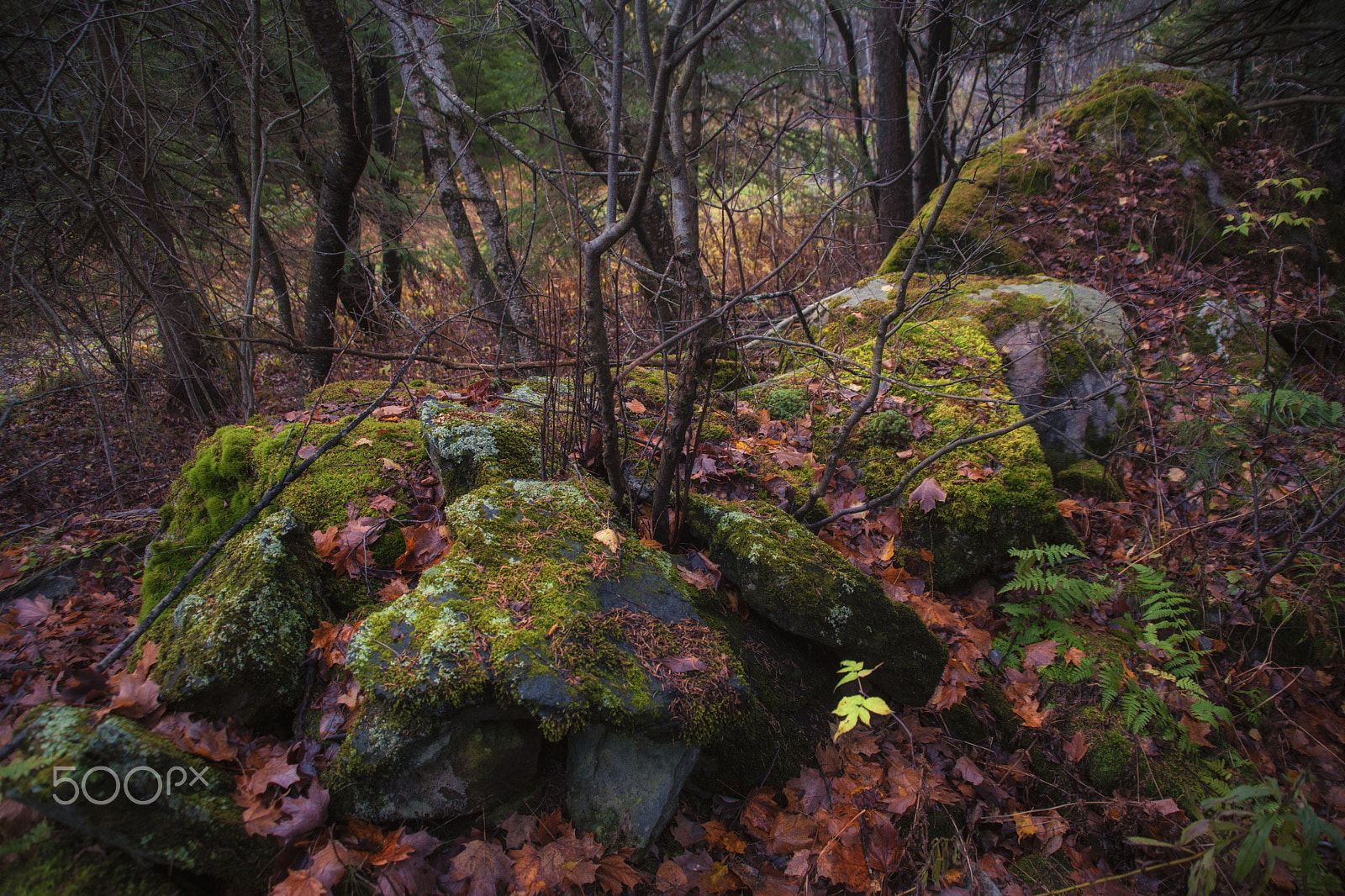 Minolta/Sony AF 24-105mm F3.5-4.5 (D) sample photo. Rocks photography
