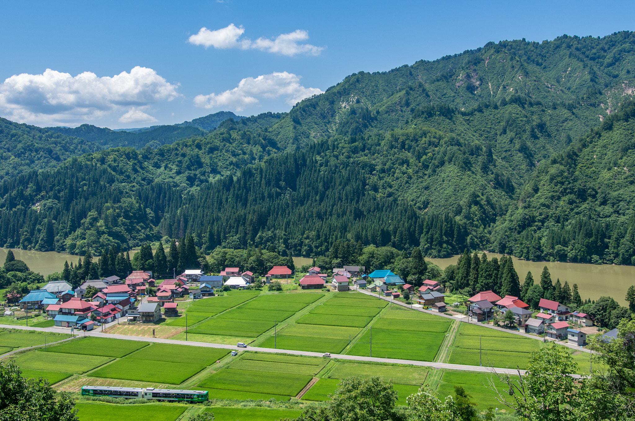 Pentax K-5 IIs sample photo. Sunny day photography