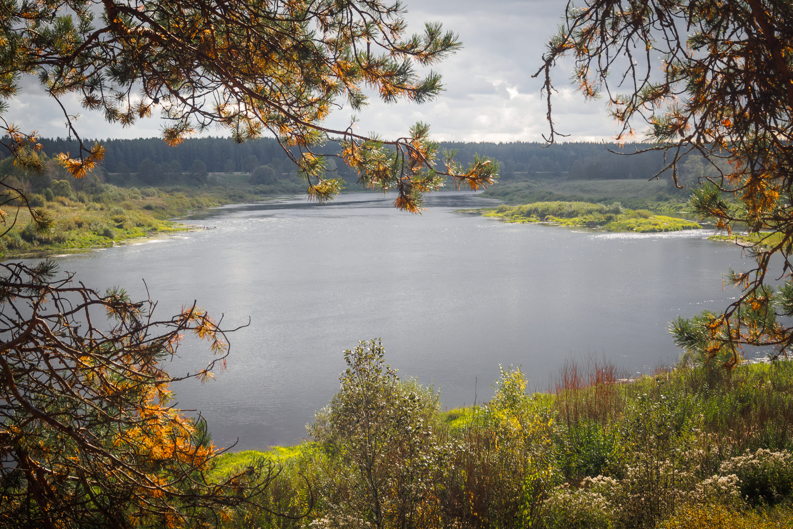 Olympus OM-D E-M10 sample photo. Autumn view of the river photography