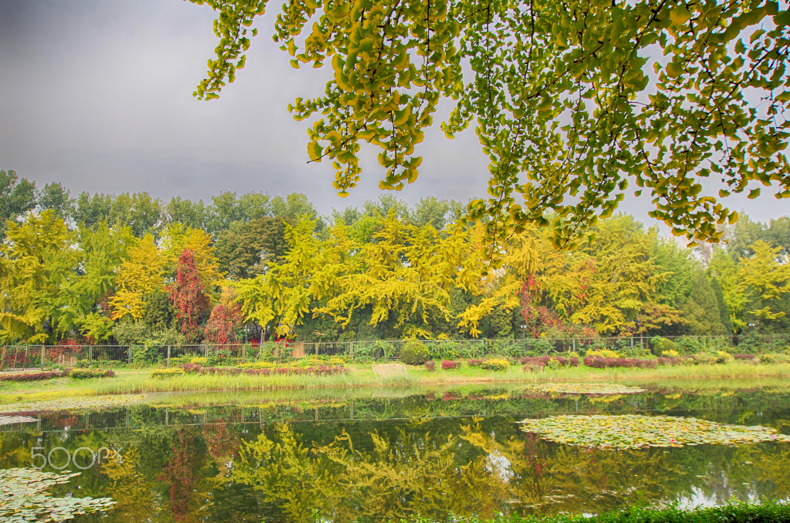 Pentax K-01 sample photo. Autumn2 photography