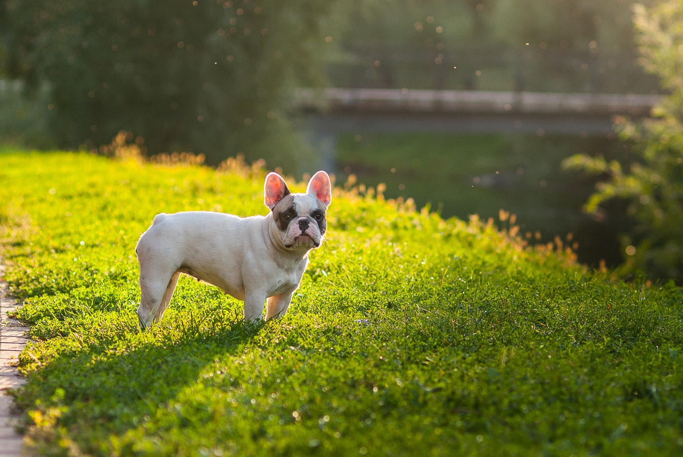 Nikon D80 sample photo. Lolli pop in park photography