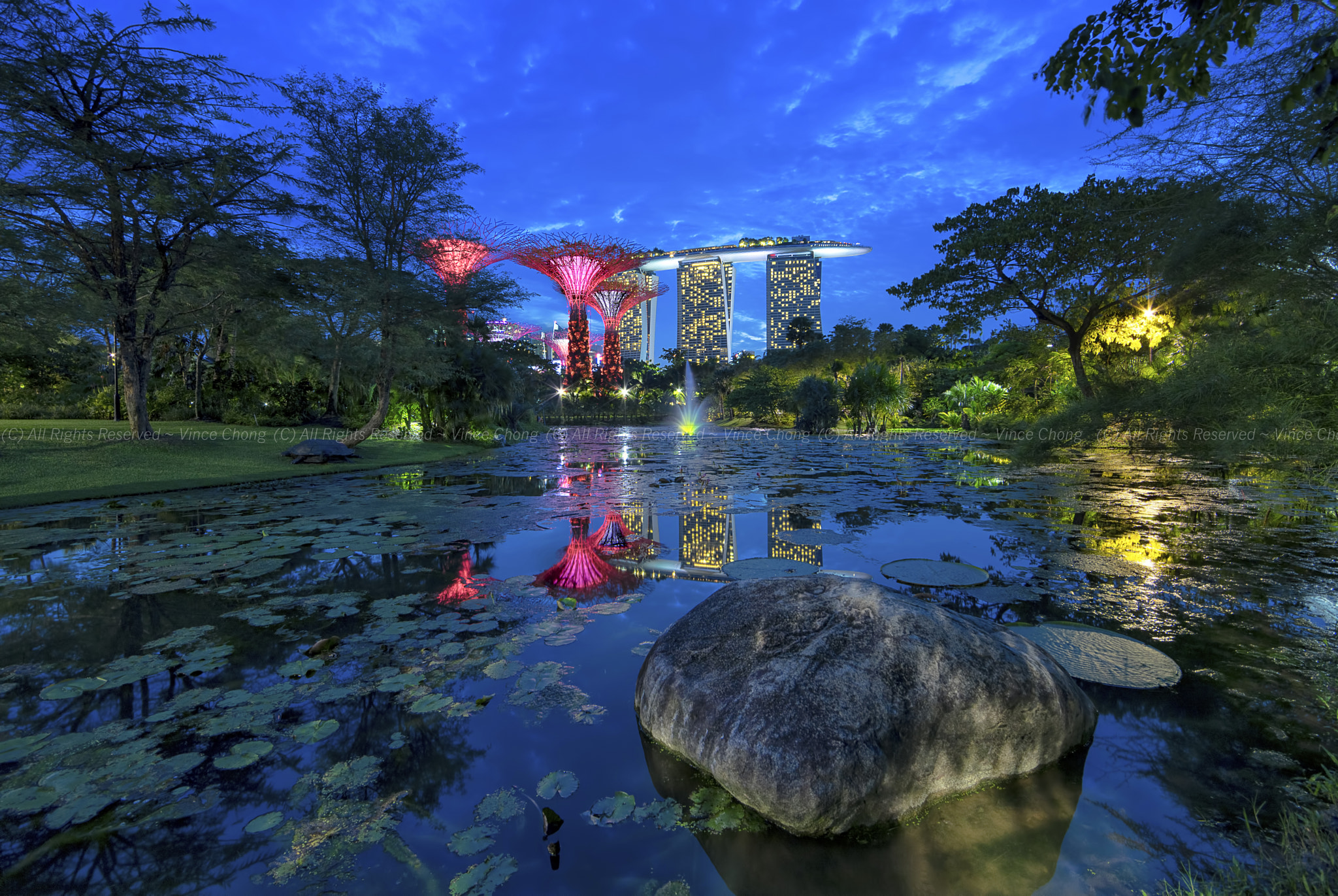 14mm F2.8 G SSM II sample photo. Gardens by the bay photography