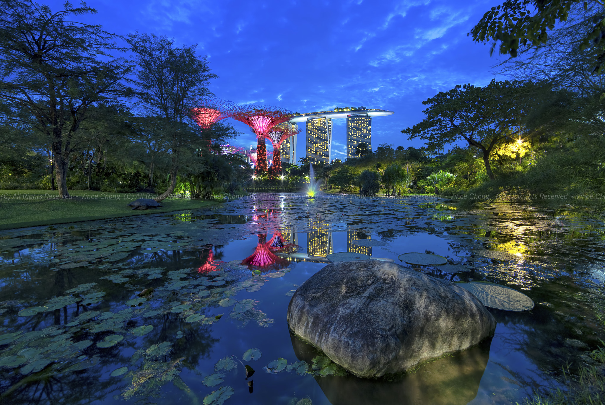 Sony a7R + 14mm F2.8 G SSM II sample photo. Gardens by the bay photography