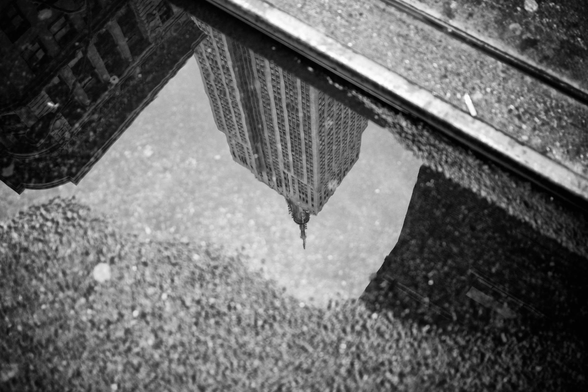 Panasonic Lumix DMC-GX1 sample photo. Reflection of empire state photography