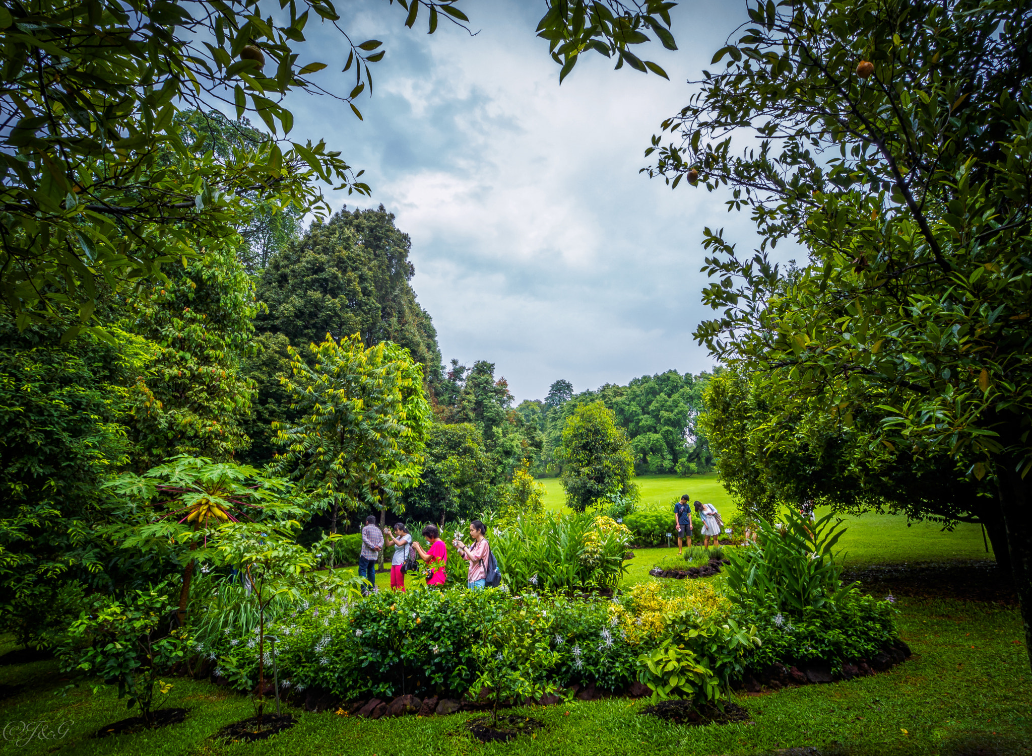 Olympus OM-D E-M1 + OLYMPUS M.9-18mm F4.0-5.6 sample photo. Catching pokemon ? photography