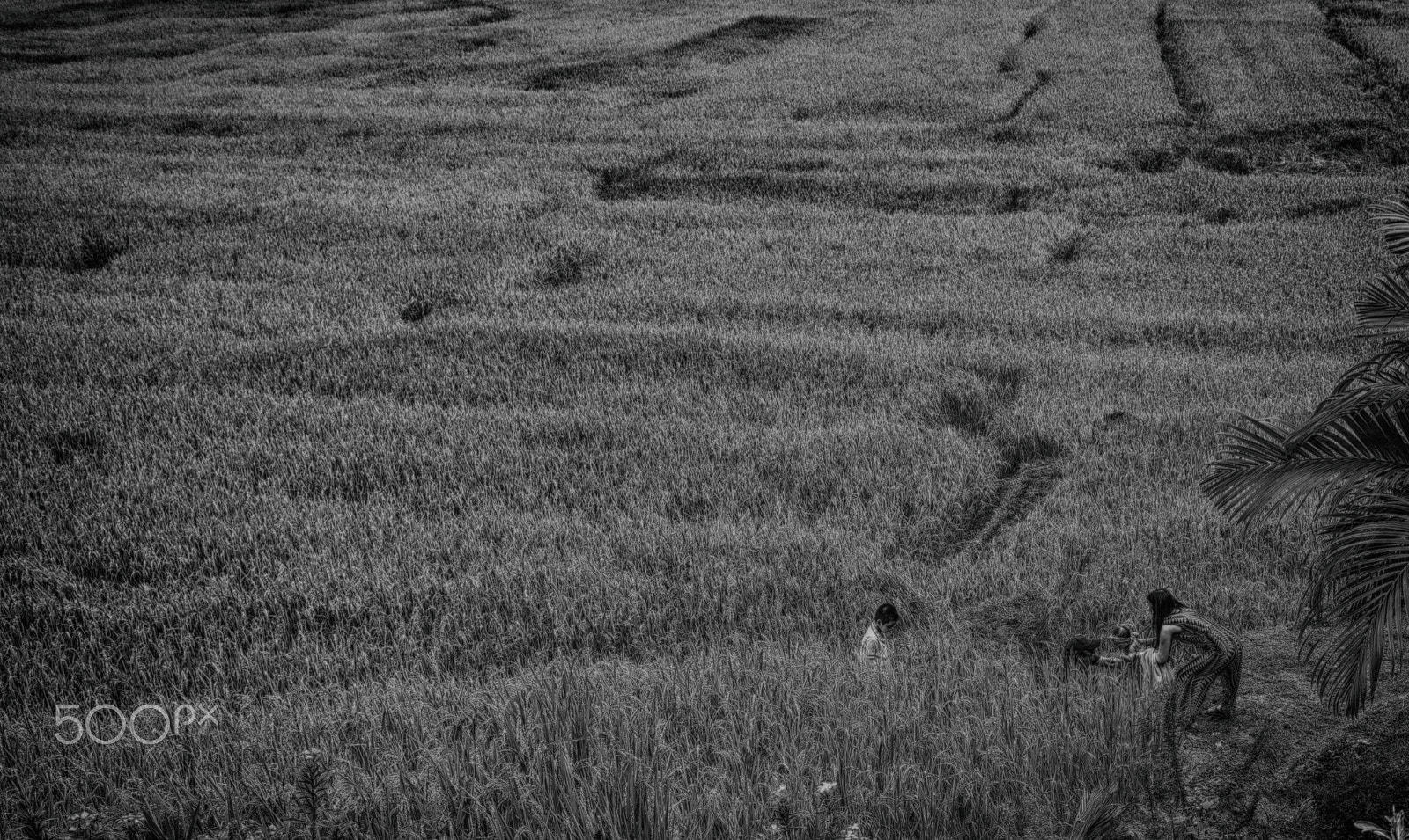 Nikon D800 sample photo. Untitled photography