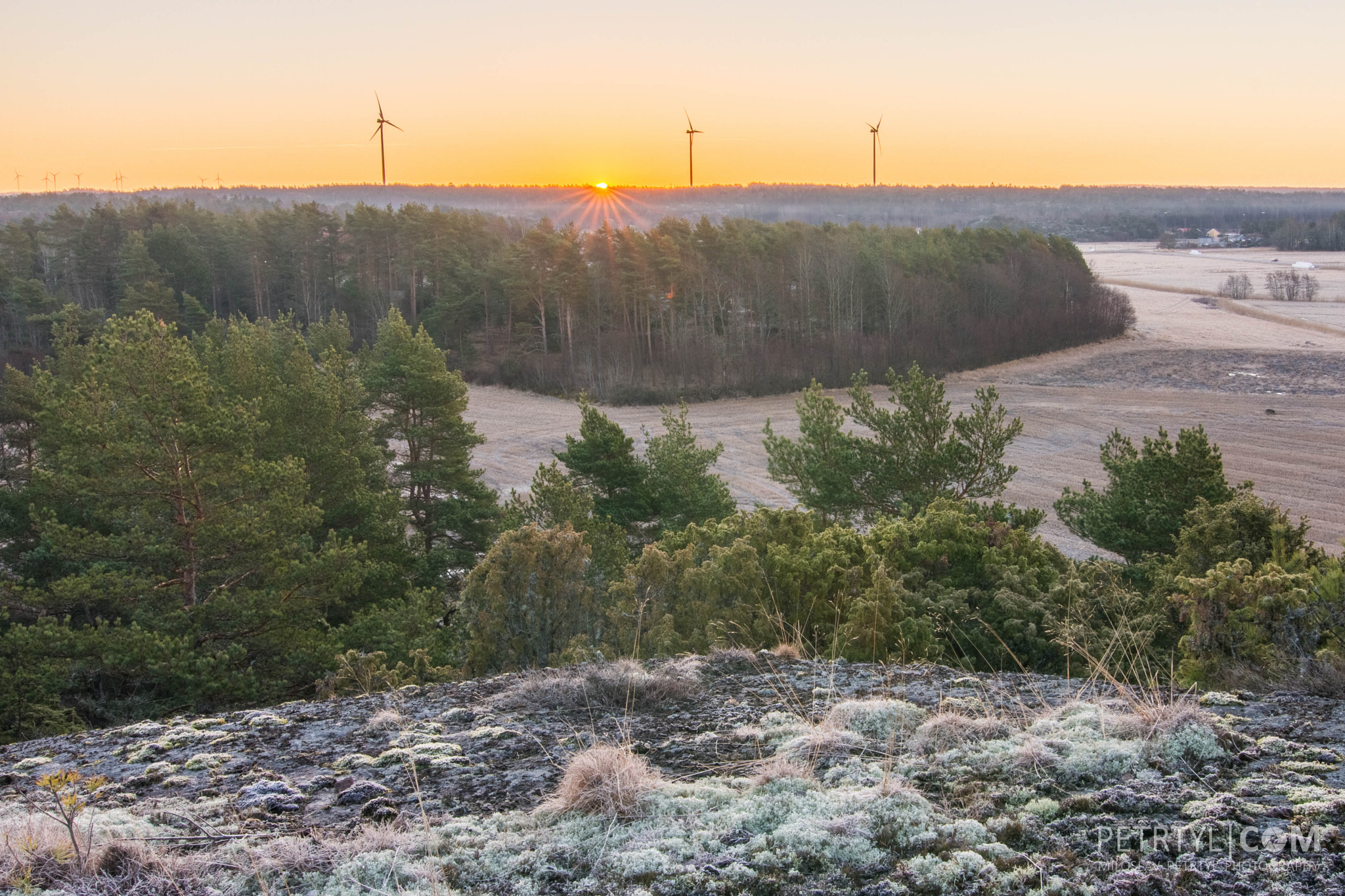 Tokina AT-X Pro 12-24mm F4 (IF) DX sample photo. Energetic morning in kosterhavet park - sweden photography