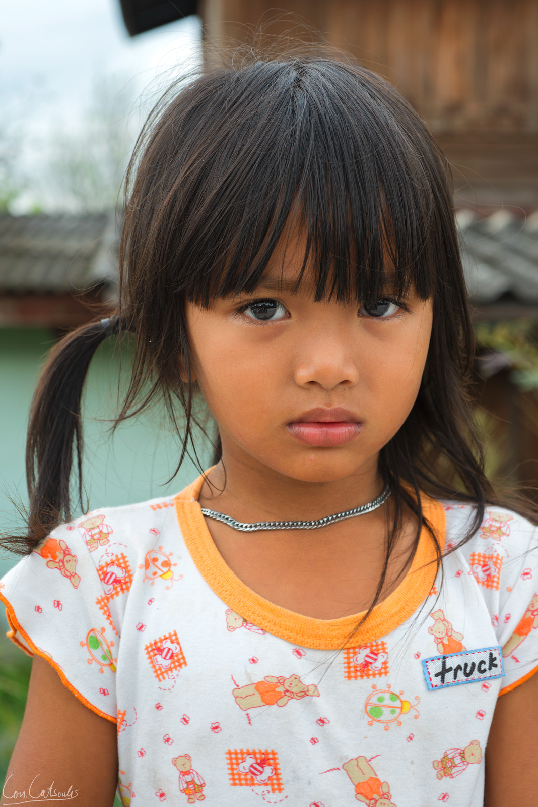 Nikon AF Micro-Nikkor 60mm F2.8D sample photo