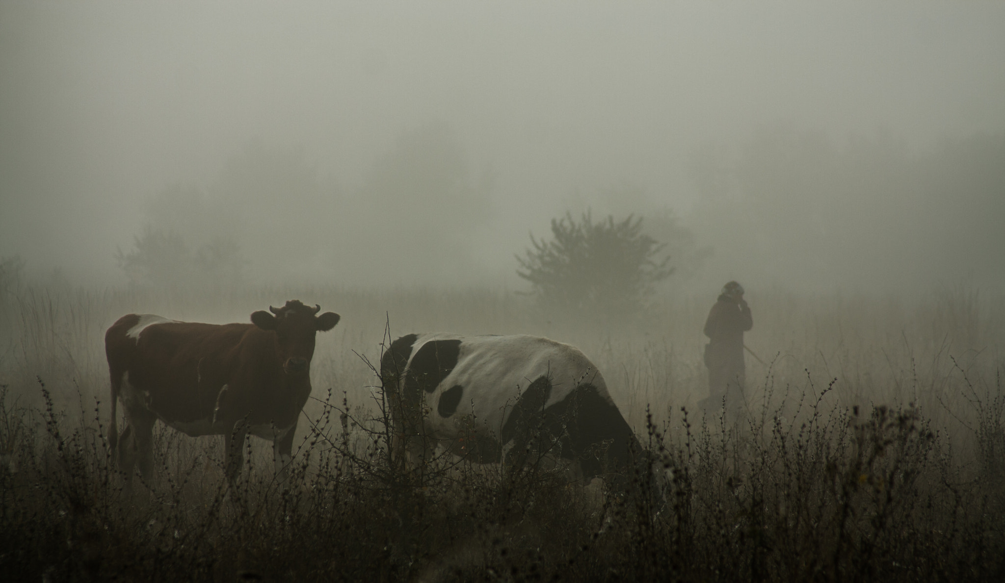 Canon EOS 40D + Canon EF 28-200mm F3.5-5.6 USM sample photo. Fog... it's amazing! photography