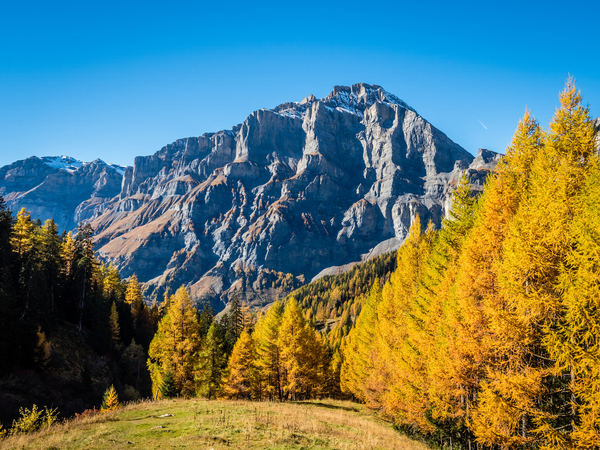 Olympus OM-D E-M5 II + OLYMPUS M.9-18mm F4.0-5.6 sample photo. That time of the year photography