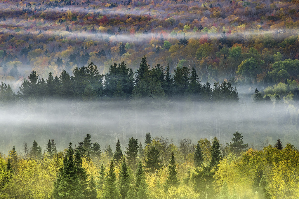 Fujifilm X-Pro1 + Fujifilm XF 55-200mm F3.5-4.8 R LM OIS sample photo. Fall hillside photography