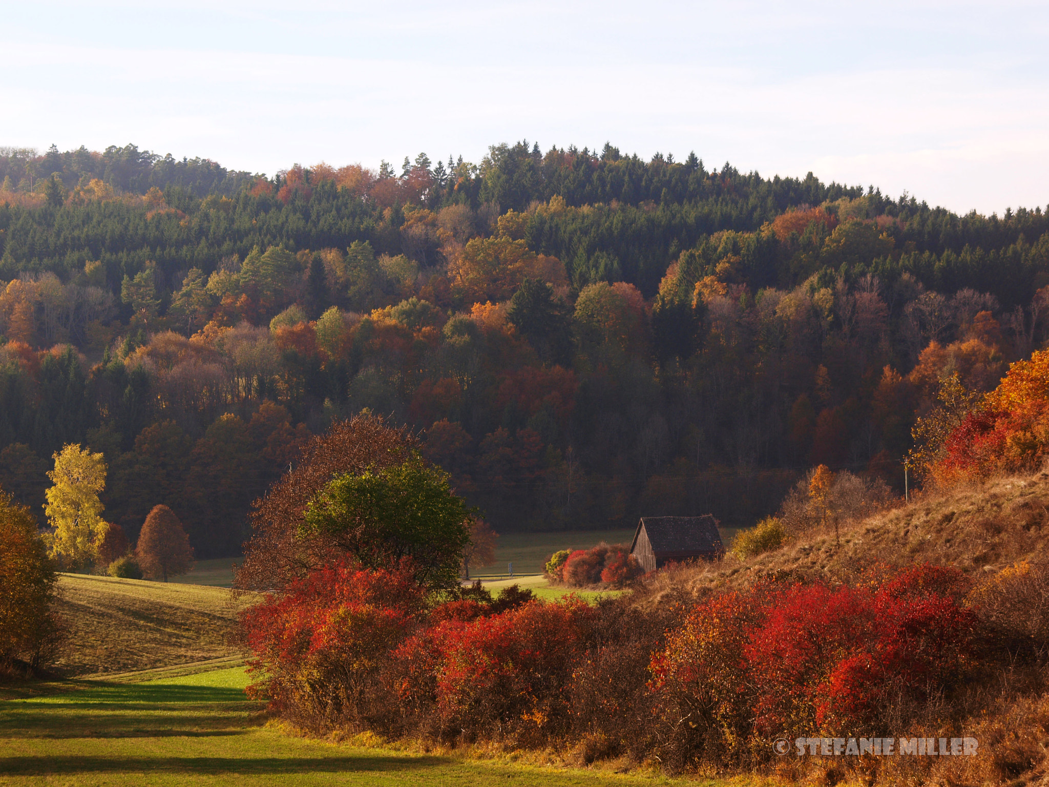 Olympus E-420 (EVOLT E-420) + OLYMPUS 18mm-180mm Lens sample photo. Variations of autumn photography