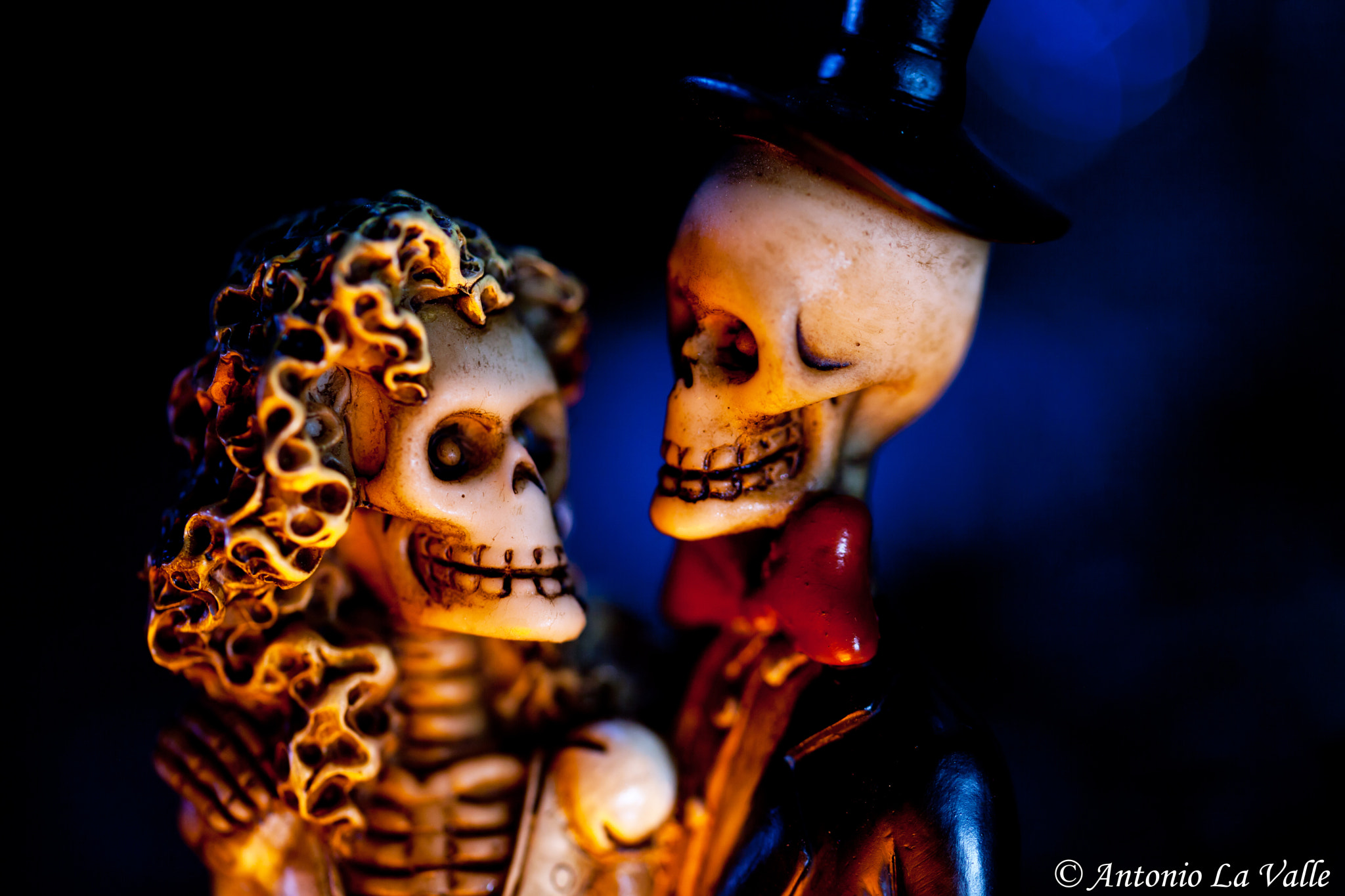Sigma 105mm F2.8 EX DG OS HSM sample photo. Halloween 2016 photography