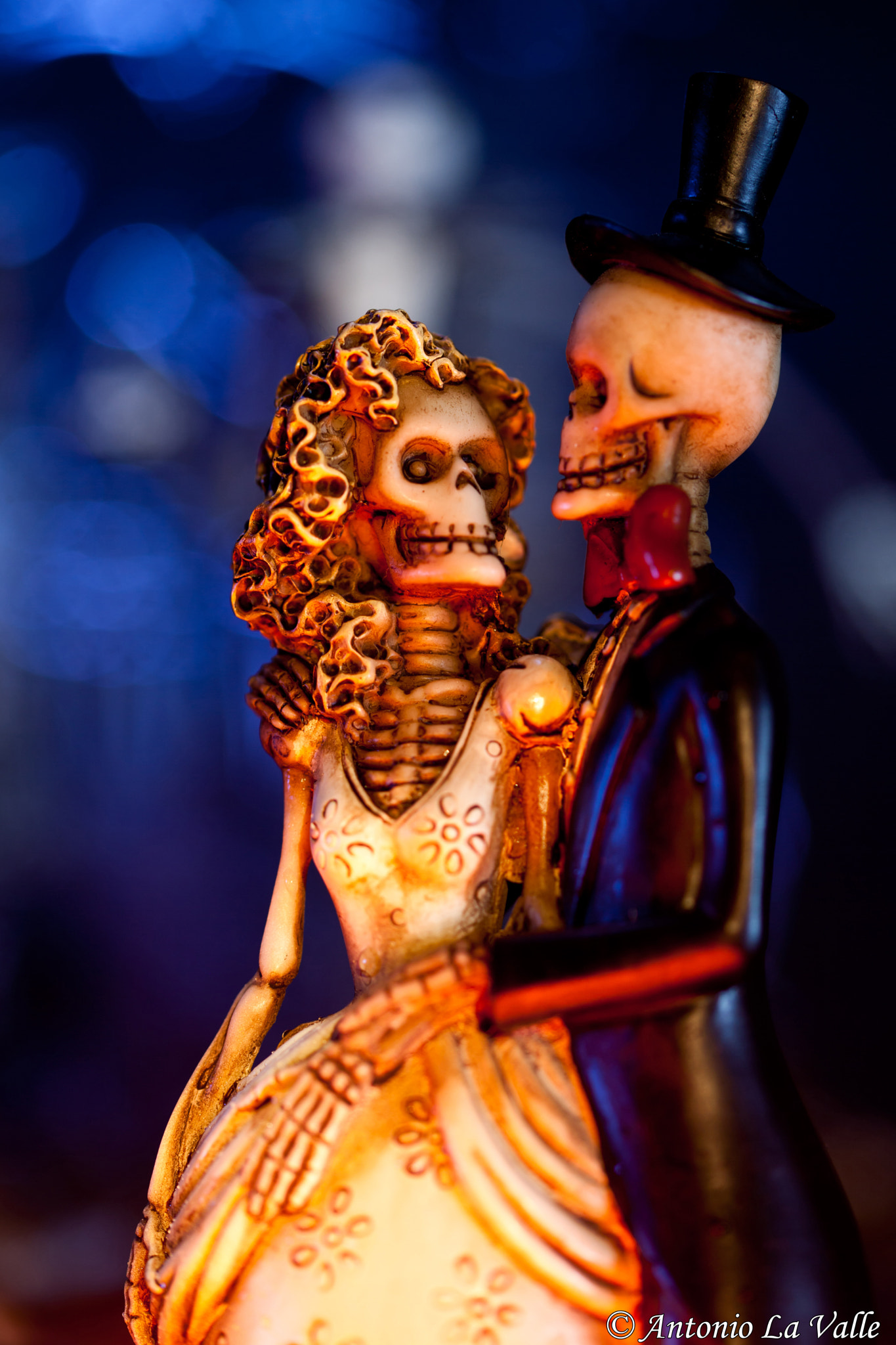 Sigma 105mm F2.8 EX DG OS HSM sample photo. Halloween 2016 photography