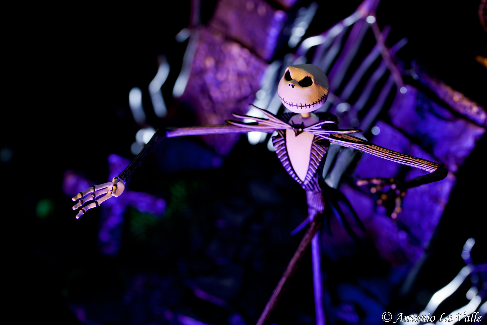 Sigma 105mm F2.8 EX DG OS HSM sample photo. Halloween 2016 photography