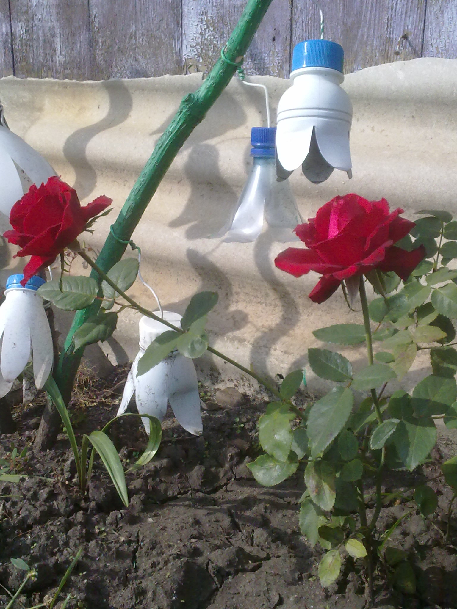 Nokia 5530 sample photo. 11092015096.jpg photography