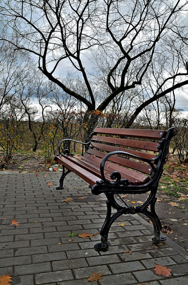 Nikon D7000 + Sigma 18-50mm F2.8 EX DC Macro sample photo. Bench for autumn photography